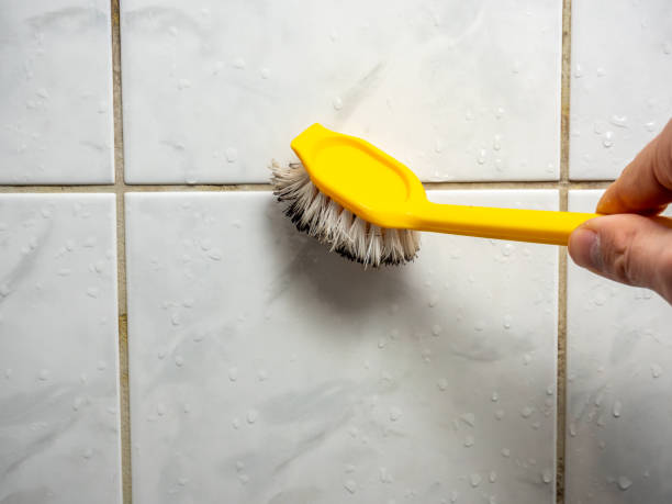 Best Mold Removal Near Me  in Poteau, OK