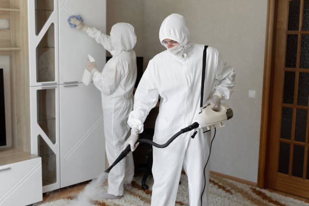 Office Mold Removal Services in Poteau, OK