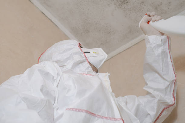 Trusted Poteau, OK Mold Removal Experts