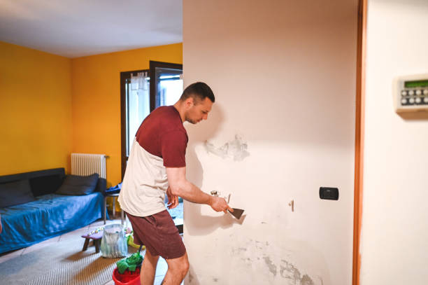 Home Mold Removal in Poteau, OK