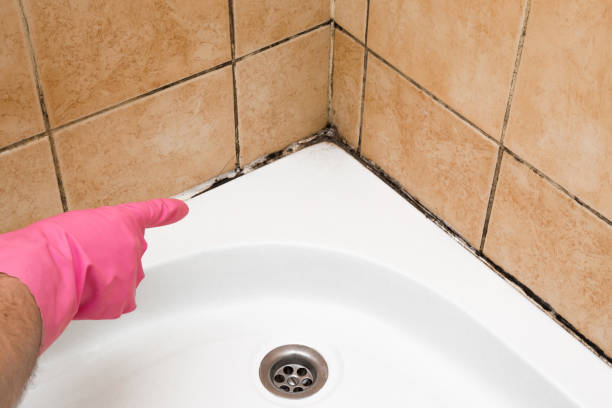 Best Emergency Mold Removal  in Poteau, OK